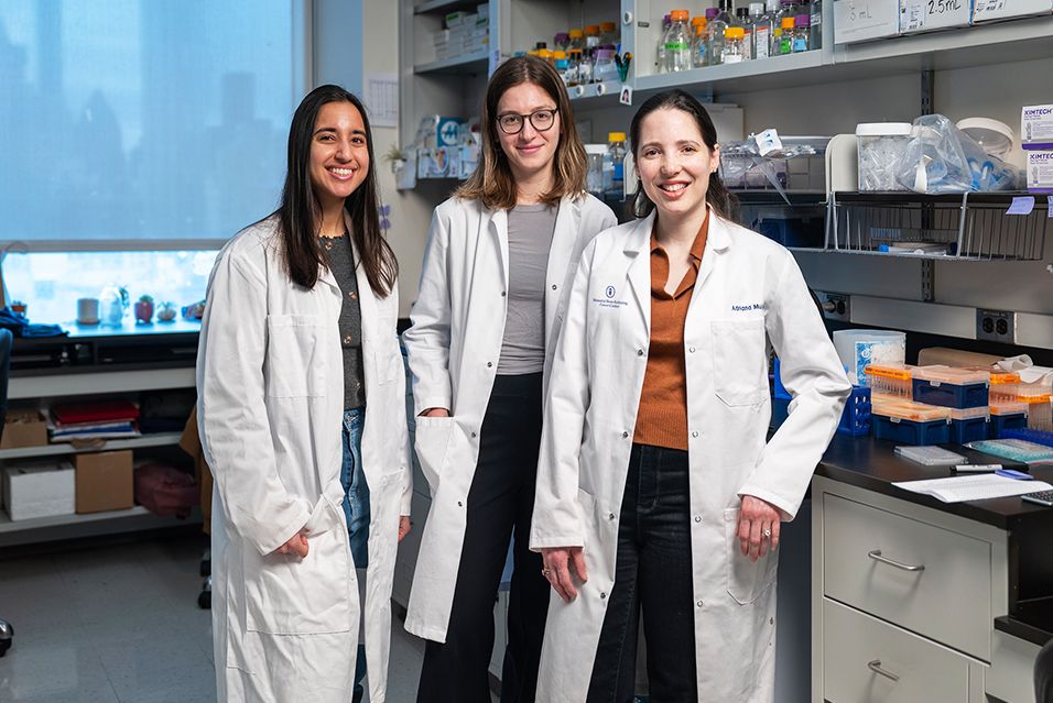 Three recipients of the 2025 Marie-Josée Kravis Women in Science Endeavor Fellowships stand together in an MSK lab.